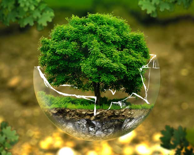 A Vision Committed To The Environment