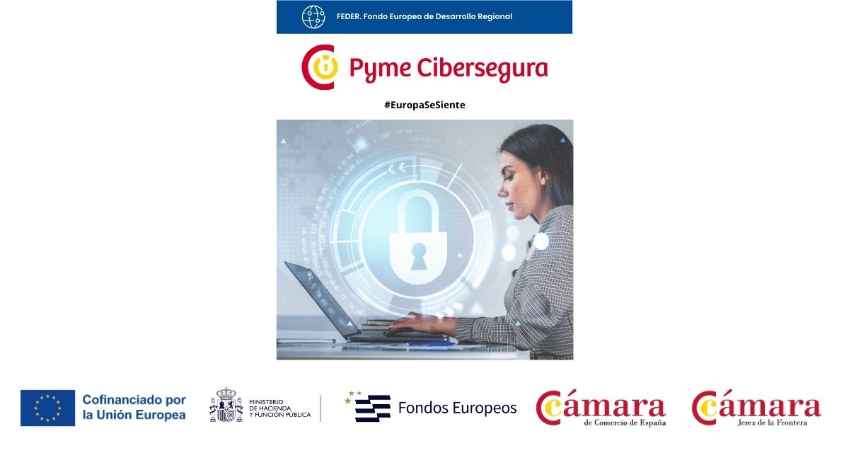 Pyme Cibersegura Pyme Cibersegura