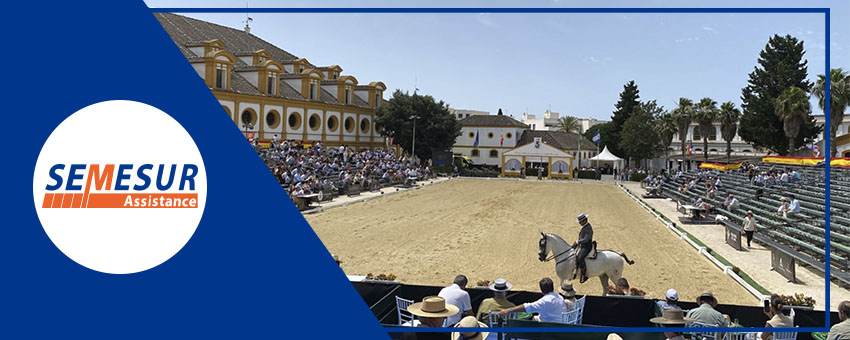 Cabecera Blog - HIPICA COPA DE