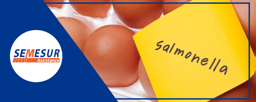 Cabecera Blog - Salmonelosis S